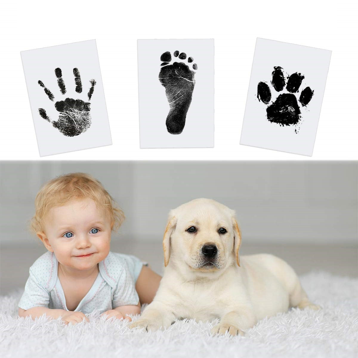 Abdruck-Set für Tiere