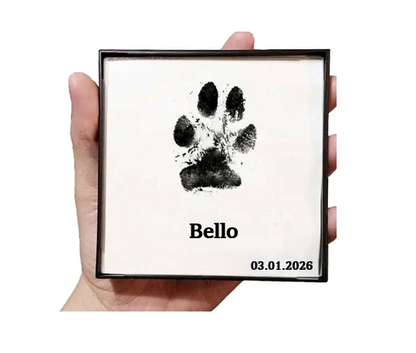 Abdruck-Set für Tiere